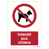 Signalisation Interdit aux chiens - P021F