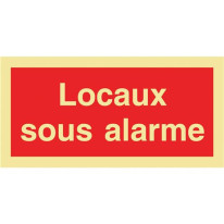 Panneau photoluminescent Locaux sous alarme
