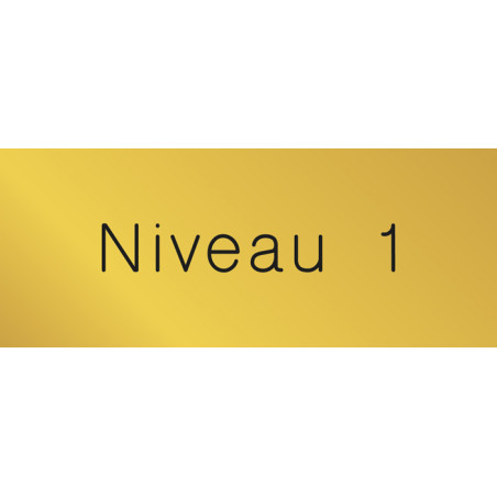 Signalétique gravée Niveau 1 - Gamme Métal